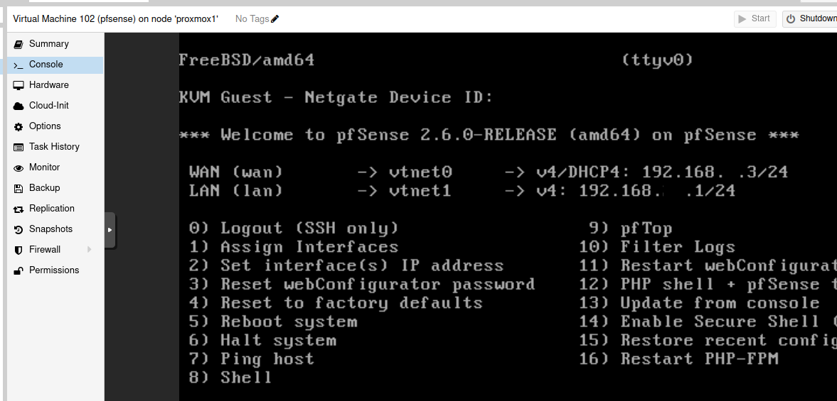 pfSense WAN and LAN ip&#39;s, as shown on the console