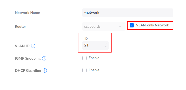 Defining a VLAN Only network