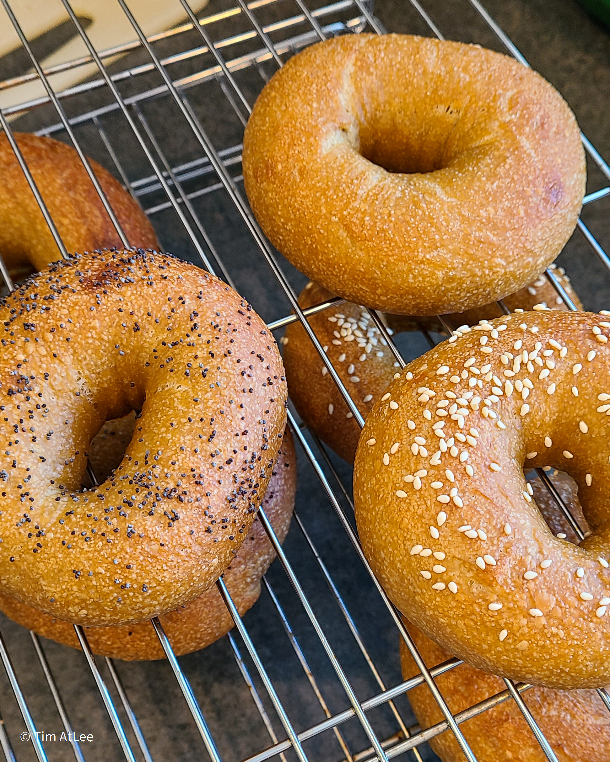 Sourdough Bagels